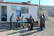 خدمات رایگان دامپزشکی در منطقه محروم بنه پیر بخش ممبی شهرستان بهمئی + تصاویر