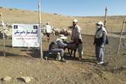 برگزاری اردوی قرارگاه محرومیت‌زدایی جهاد دامپزشکی در مناطق محروم  بویراحمد + تصاویر
