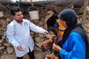 اردوی جهادی دامپزشکی کهگیلویه وبویراحمد در ایستگاه روستاهای کم برخوردار لنده + تصاویر