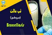 برنامه پیش‌بینی‌شده دامپزشکی کهگیلویه وبویراحمد برای مقابله با بیماری تب مالت در سال ۱۴۰۴ / 462 هزار رأس دام در کهگیلویه و بویراحمد واکسینه می شوند