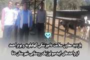  بازدید معاون سلامت دامپزشکی کهگیلویه و بویراحمد از واحدهای اپیدمیولوژیک روستایی در شهرستان دنا