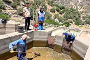شناسایی، حذف و معدوم سازی دو کانون آلوده به بیماری ویروسی IPN در شهرستان مارگون + تصاویر