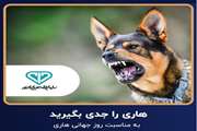 آگاهی مهمترین راه مقابله با هاری/ ایمن سازی بیش از 6 هزار و 900 قلاده سگ صاحبدار بر علیه هاری در کهگیلویه وبویراحمد