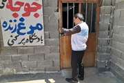 پلمب مراکز غیرمجاز عرضه مرغ زنده در منطقه مزدک با دستور مقام قضایی