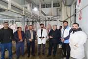 بازدید مشترک مسئولین دامپزشکی و شهرداری از کشتارگاه نیمه صنعتی  دام گچساران