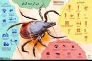 تب هموراژیک کریمه کنگو