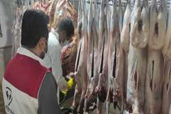  نظارت 20 گروه ثابت و سیار دامپزشکی کهگیلویه وبویراحمد در تاسوعا و عاشورا