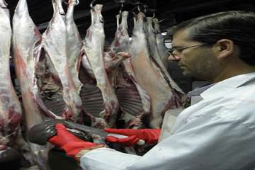 فعاليت هاي كشتارگاهي كهگيلويه وبويراحمد