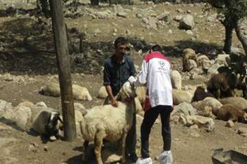 خدمات رایگان دامپزشکی کهگیلویه و بویراحمد در منطقه محروم بیدک بخش سرفاریاب شهرستان چرام / خدمت بی من