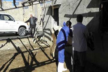 ارائه خدمات رایگان بهداشتی دامپزشکی به بهره برداران بمناسبت دهه فجر در کهگیلویه وبویرحمد به روایت تص