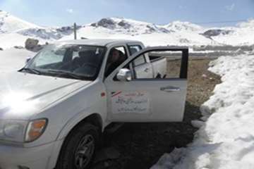 ارائه خدمات رایگان بهداشتی دامپزشکی به بهره برداران بمناسبت دهه فجر در کهگیلویه وبویرحمد به روایت تص