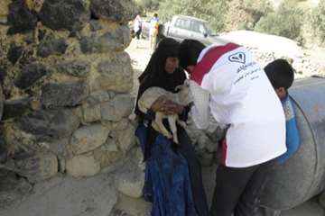 خدمات رایگان دامپزشکی کهگیلویه و بویراحمد در منطقه محروم بیدک بخش سرفاریاب شهرستان چرام / خدمت بی من