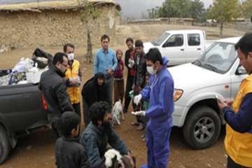 یک روز بارانی با زحمت کشان دامپزشکی کهگیلویه وبویراحمد در ارائه خدمات رایگان به منطقه محروم طسوج