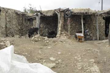 یک روز بارانی با زحمت کشان دامپزشکی کهگیلویه وبویراحمد در ارائه خدمات رایگان به منطقه محروم طسوج