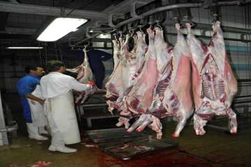 فعاليت هاي كشتارگاهي كهگيلويه وبويراحمد