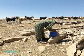 عملیات واکسیناسیون دامها در منطقه محروم و عشایری کوه سیاه بهمئی