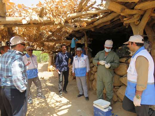 اردوی جهادی دامپزشکی در منطقه کم برخوردار چیتاب بمناسبت هفته دولت