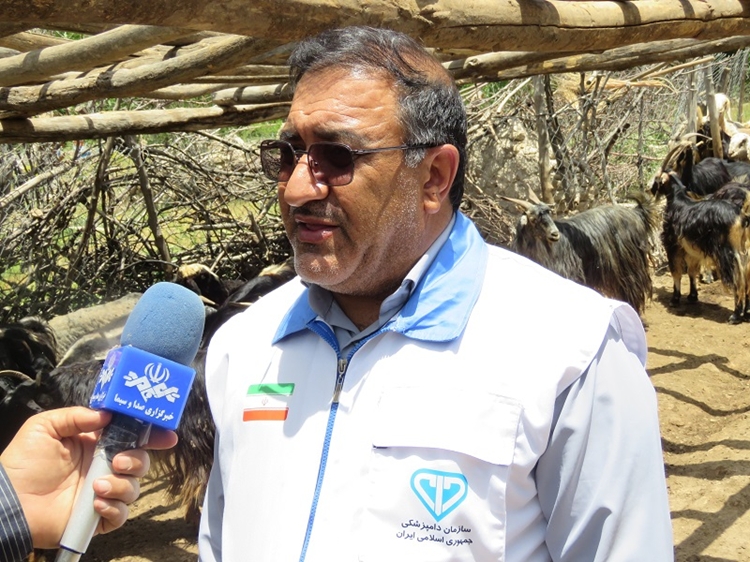 «دامپزشکی، رکن اصلی تأمین امنیت غذایی و سلامت عمومی در شرایط بحرانی» / آمادگی کامل تیم‌های واکنش سریع دامپزشکی برای صیانت از سرمایه‌های دامی استان